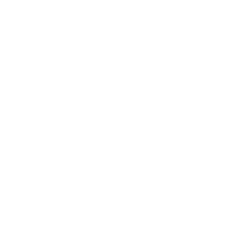 Kettlebell Icon