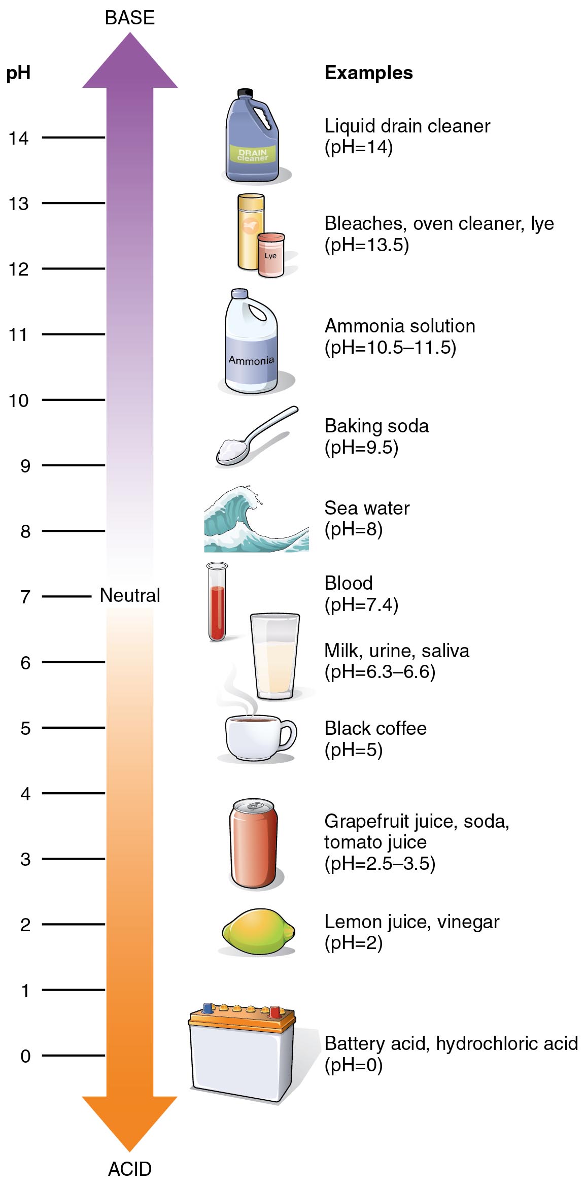 pH scale